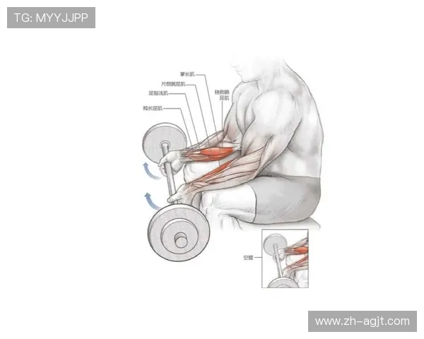没有器械如何高效健身：全身锻炼指南