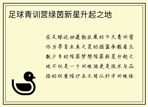 足球青训营绿茵新星升起之地