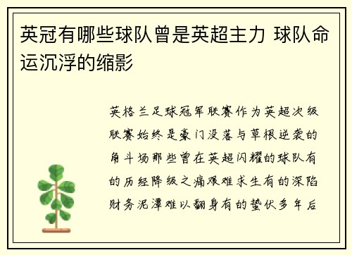 英冠有哪些球队曾是英超主力 球队命运沉浮的缩影