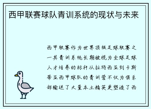 西甲联赛球队青训系统的现状与未来